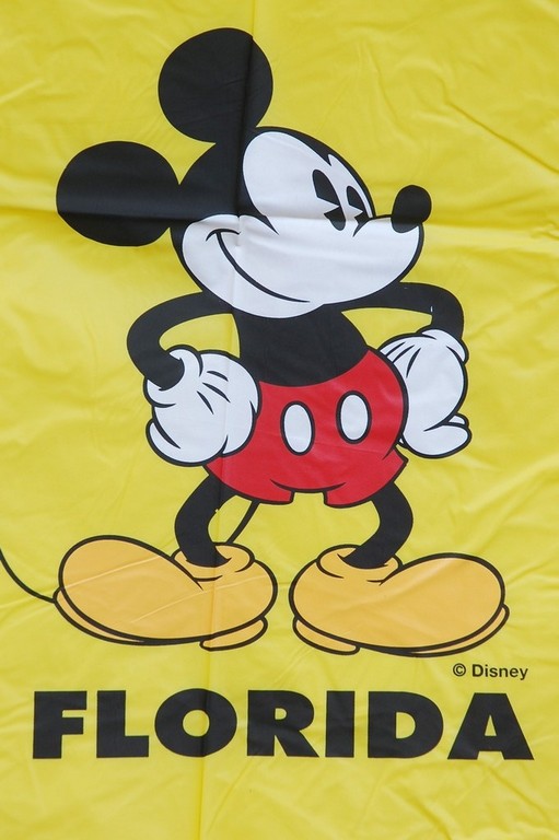 R-1020K-2004 yellow disney micky mouse pvc vinyl boys raincoat Furthertrade.com the high quality raincoat manufacturer and supplier